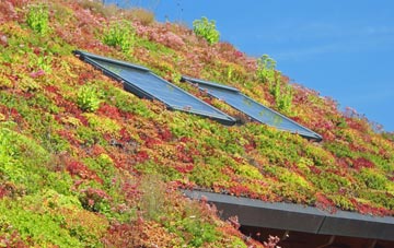 Ecclesfield living roof systems